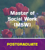 The Master of Social Work